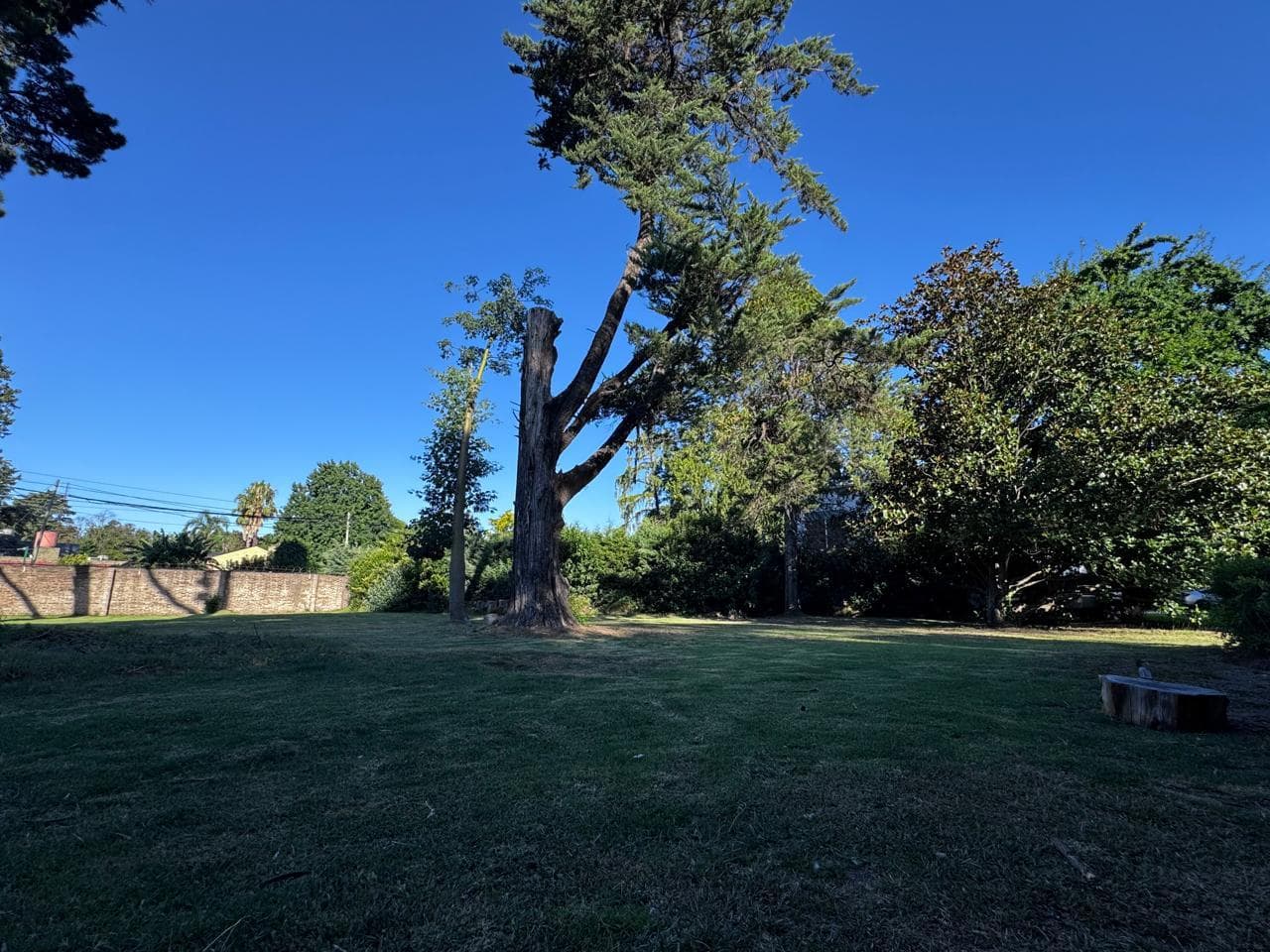 Lot in the Villa Bertha neighborhood with excellent access from the Pan-American Highway