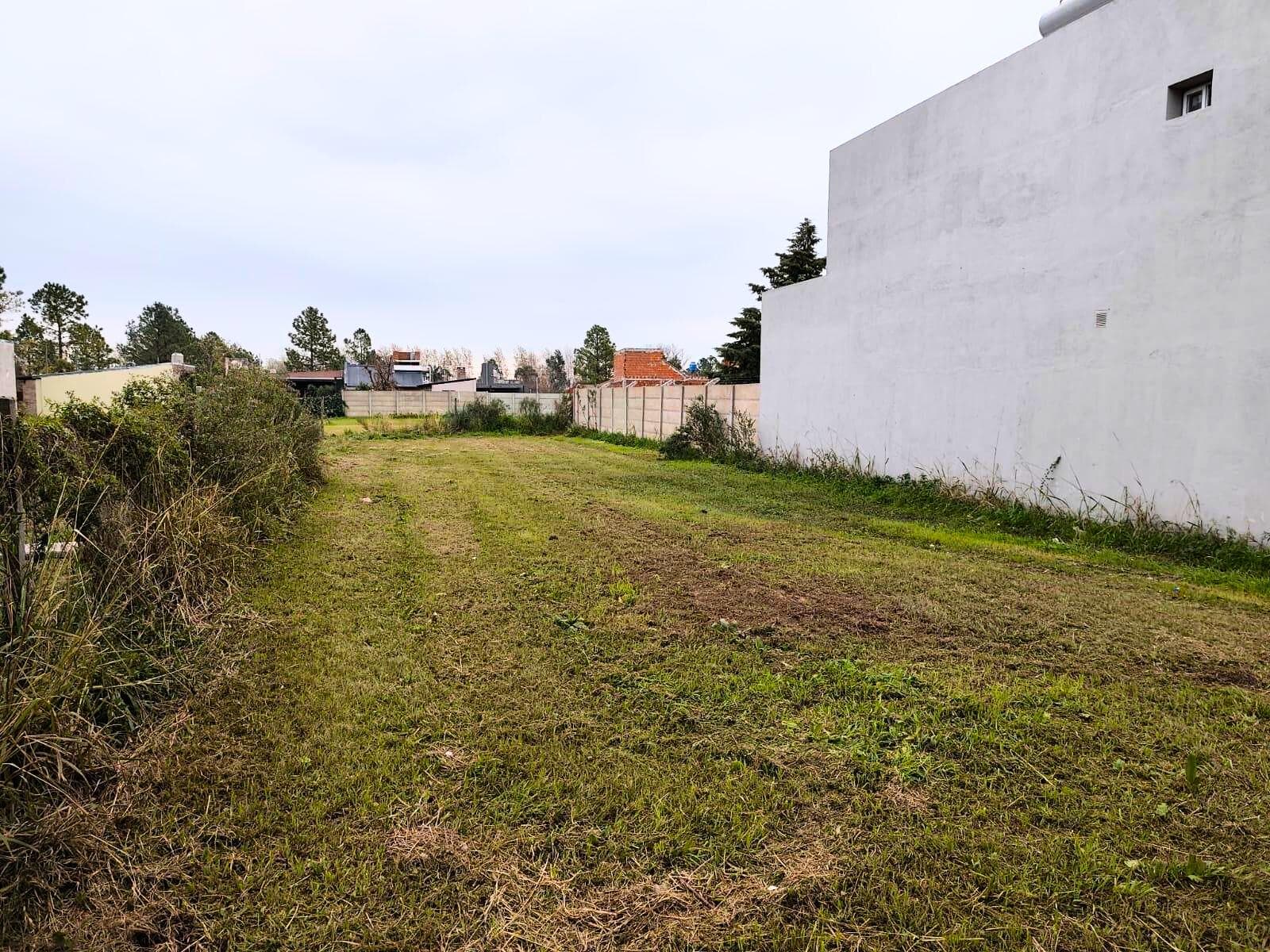 Lot: Land of Dreams 1