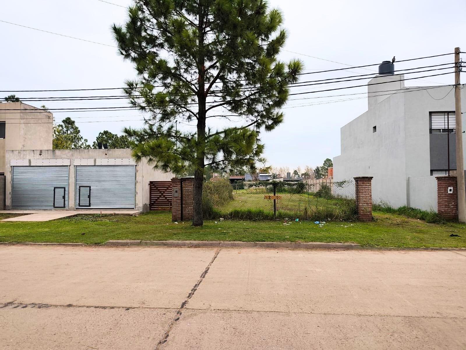 Lot: Land of Dreams 1