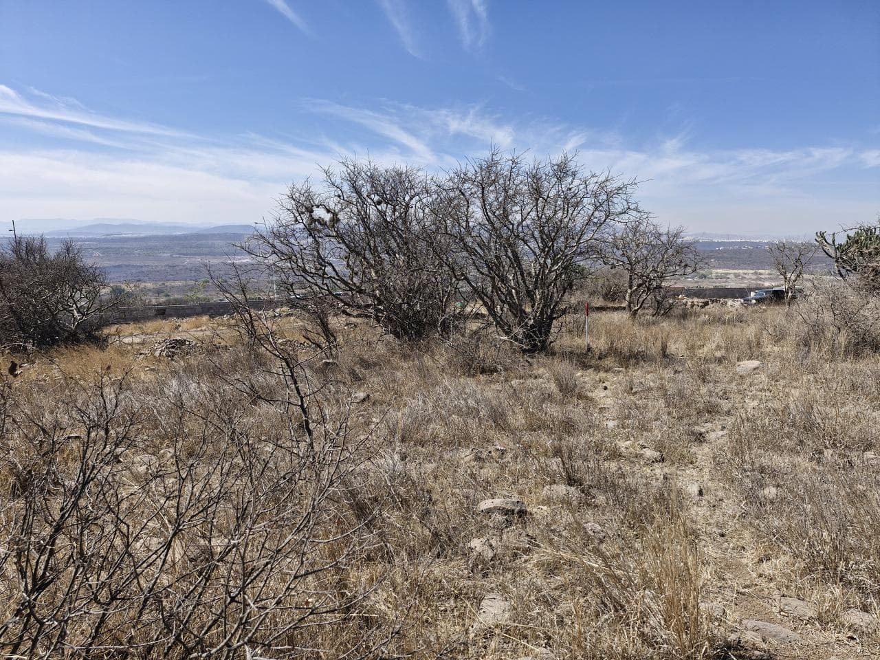Land for Sale Punta Mezquite Zákia