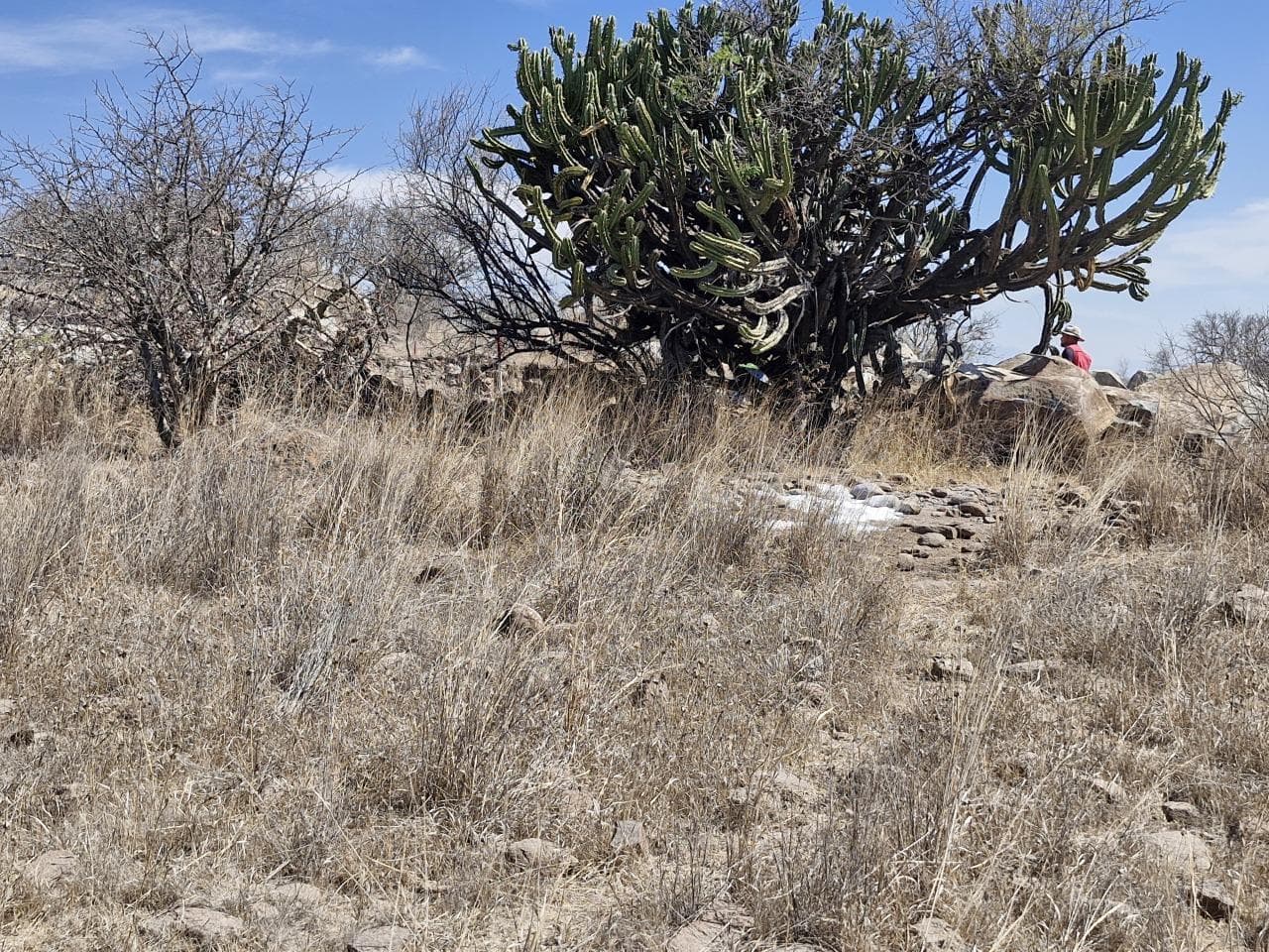 Land for Sale Punta Mezquite Zákia