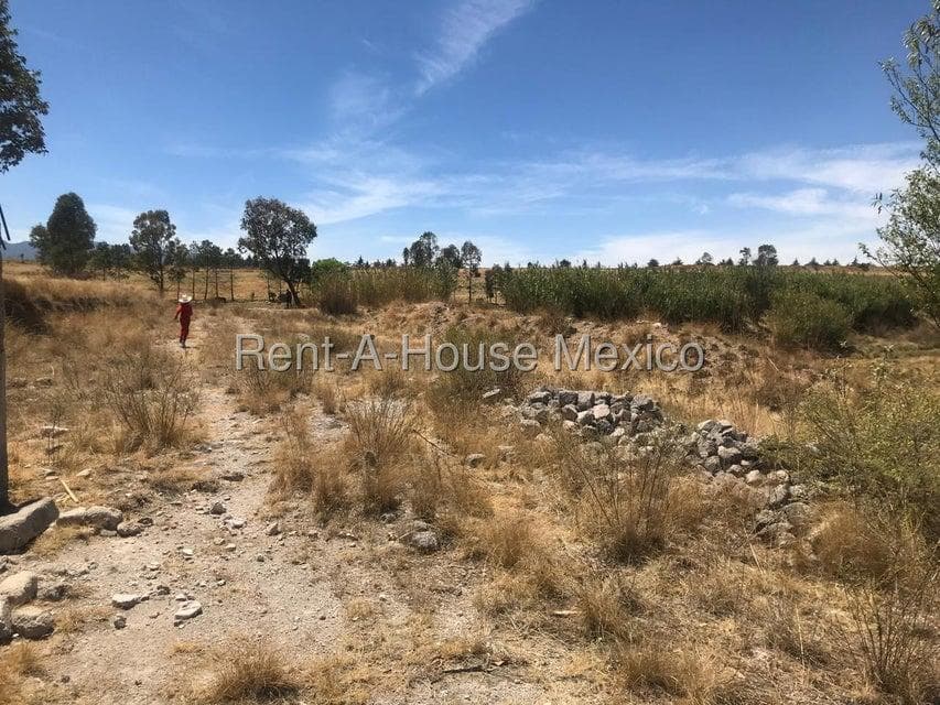 15-hectare lot for sale in Jilotepec, connected to Carr Palmillas