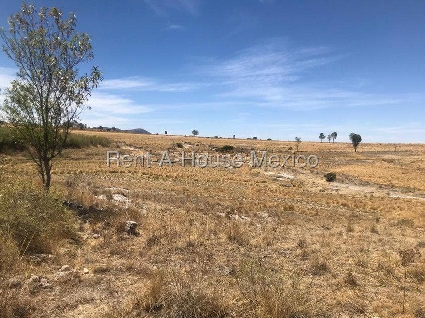 15-hectare lot for sale in Jilotepec, connected to Carr Palmillas