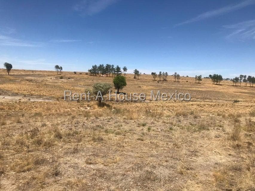 15-hectare lot for sale in Jilotepec, connected to Carr Palmillas