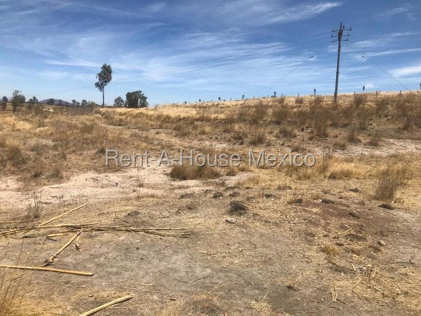 15-hectare lot for sale in Jilotepec, connected to Carr Palmillas