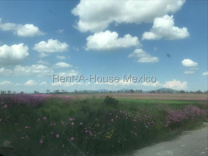 16-hectare plot of land for sale in Jilotepec, connected to the Palmillas Highway