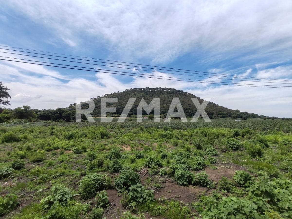 Land for Sale in Morelos, Totolapan