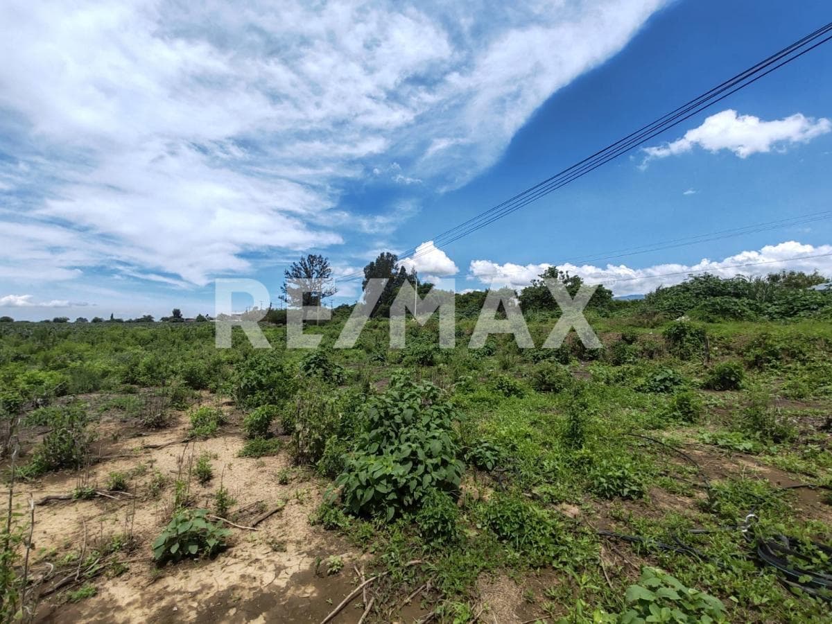 Land for Sale in Morelos, Totolapan