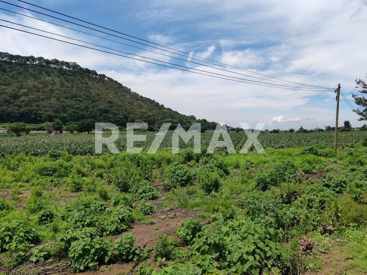 Land for Sale in Morelos, Totolapan