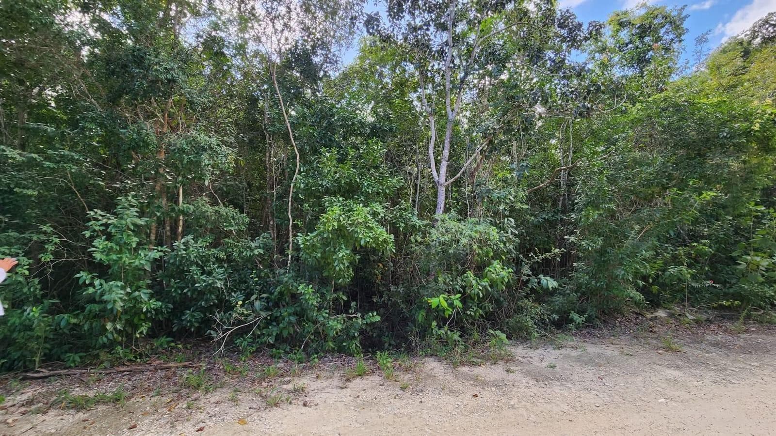 LAND FOR SALE IN CANCUN, SANTA ANA