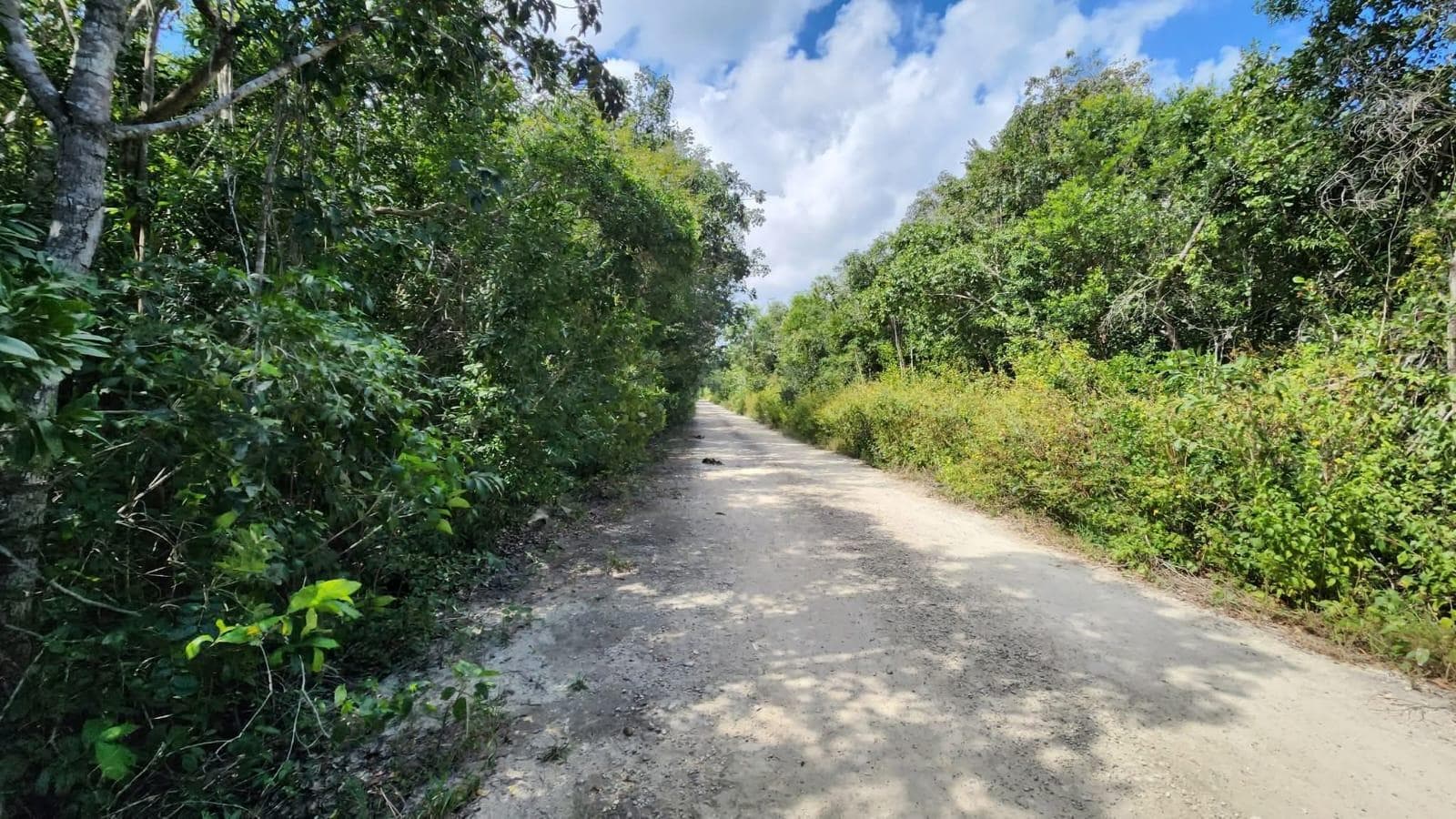 LAND FOR SALE IN CANCUN, SANTA ANA