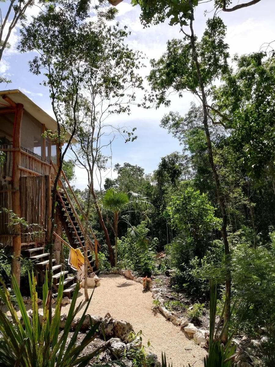 LAND FOR SALE IN TULUM, 10,456 M2, WITH ECO-FRIENDLY CABINS