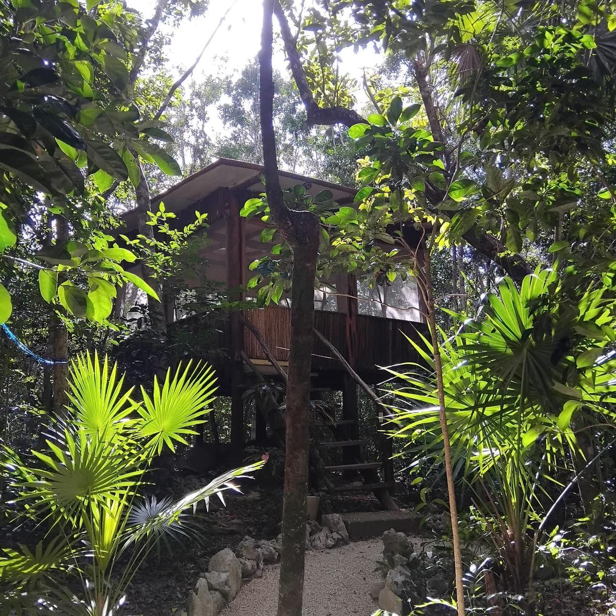 LAND FOR SALE IN TULUM, 10,456 M2, WITH ECO-FRIENDLY CABINS