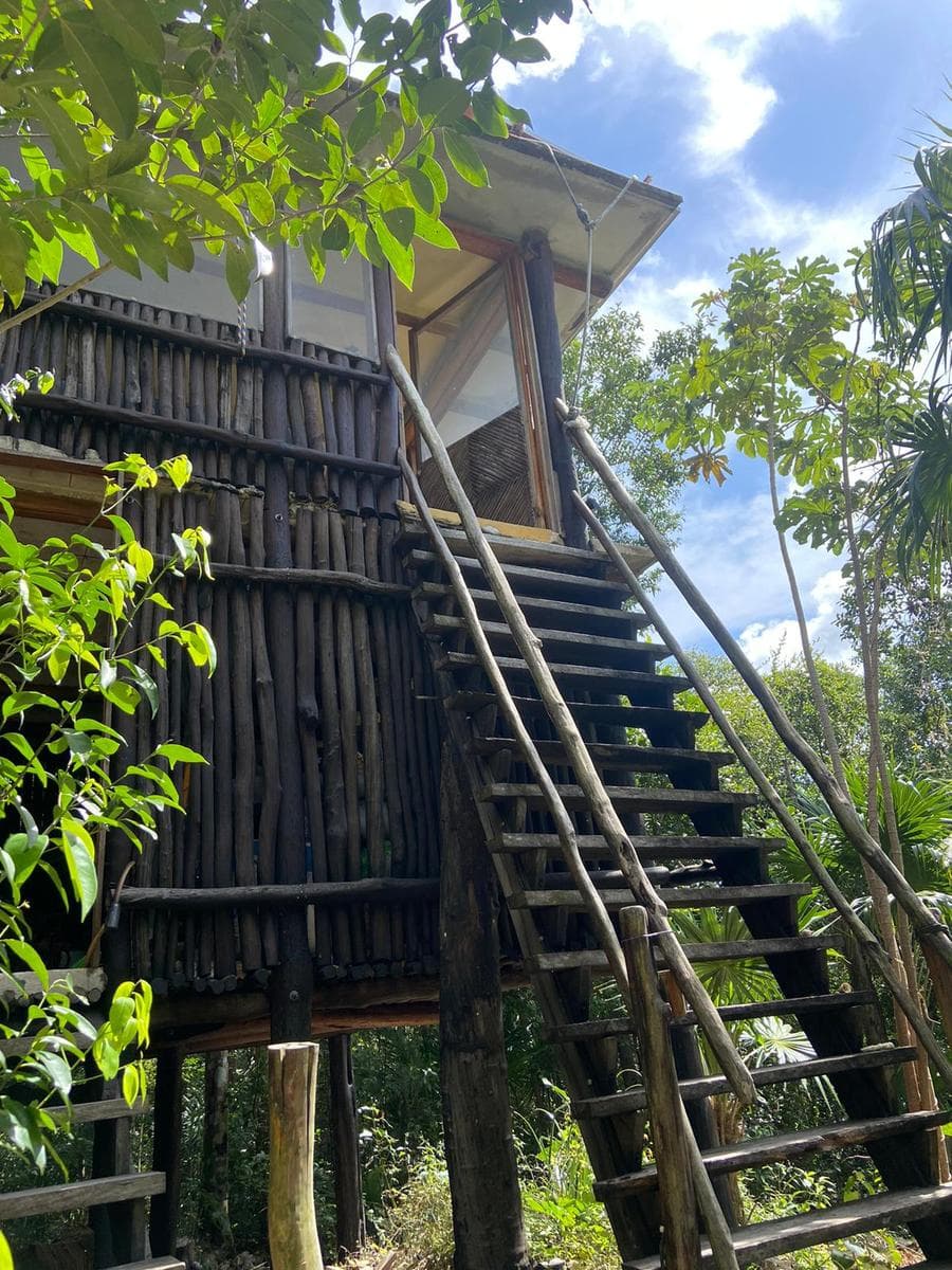 LAND FOR SALE IN TULUM, 10,456 M2, WITH ECO-FRIENDLY CABINS