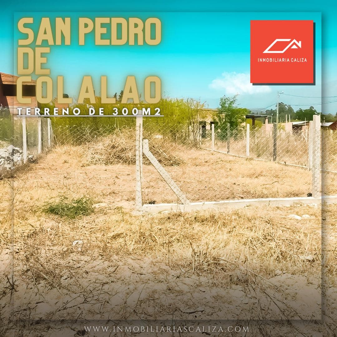 LAND FOR SALE IN SAN PEDRO DE COLALAO | TUCUMAN