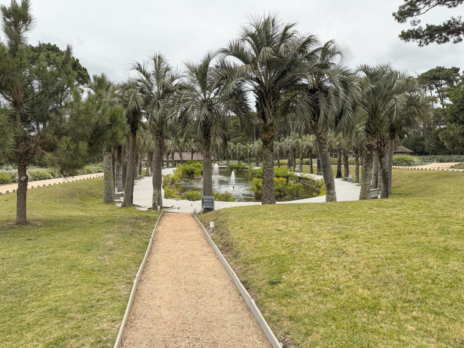 Prime lot with amenities in Pinar del Faro, Jose Ignacio