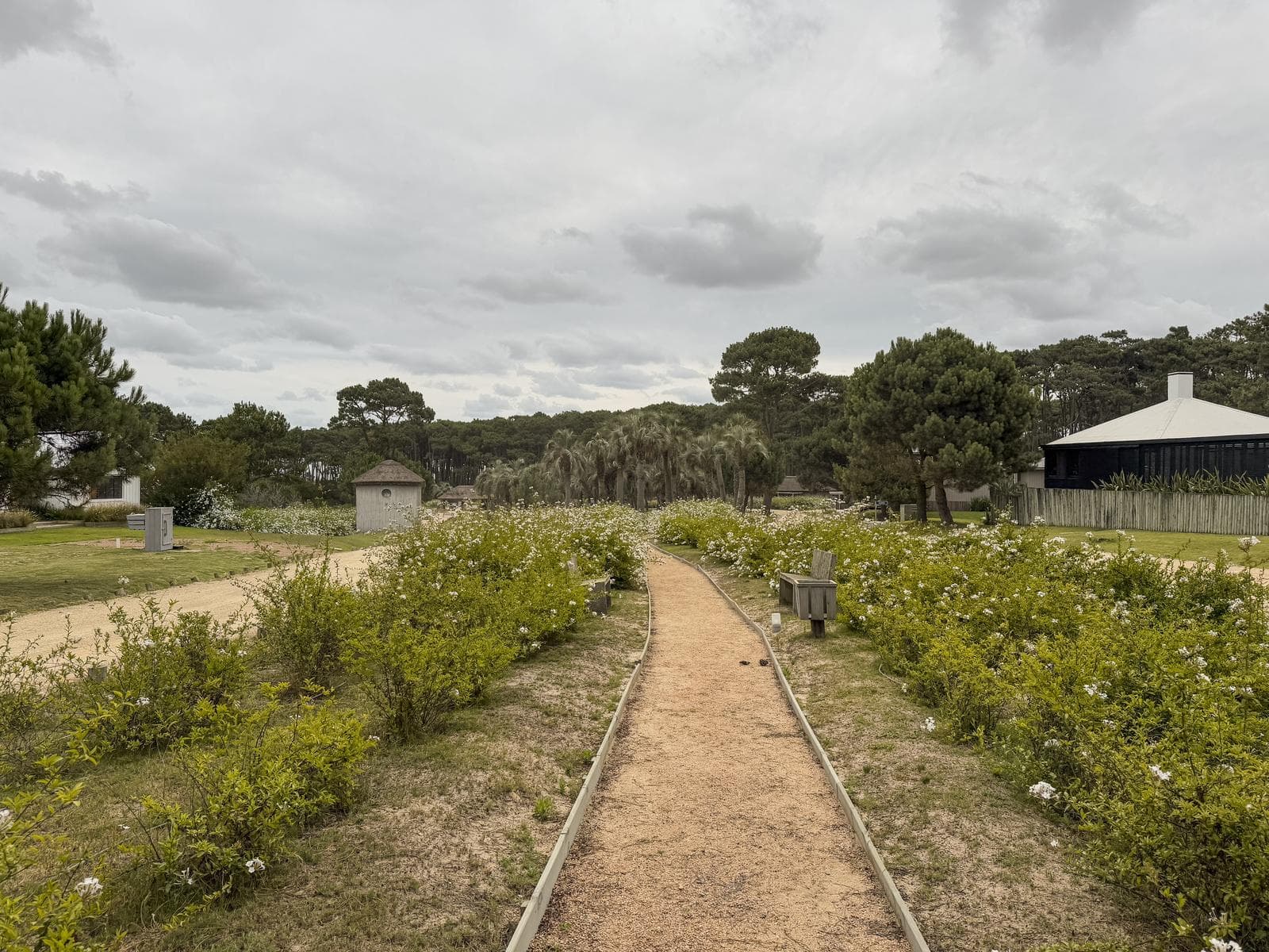 Prime lot with amenities in Pinar del Faro, Jose Ignacio
