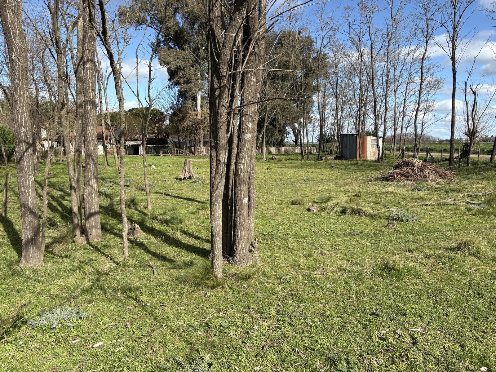 Lot in Elviara, strategically located on the main street