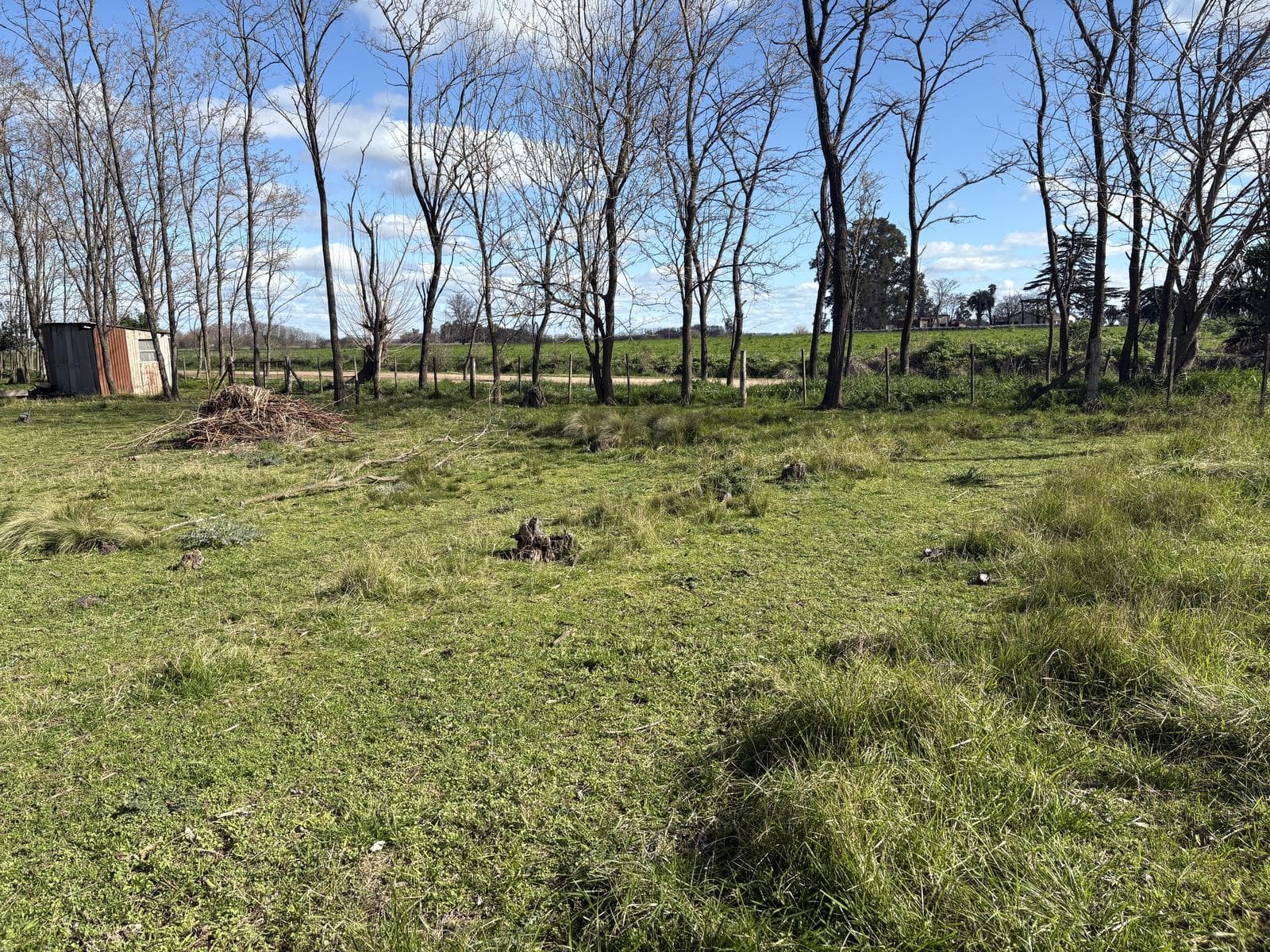 Lot in Elviara, strategically located on the main street