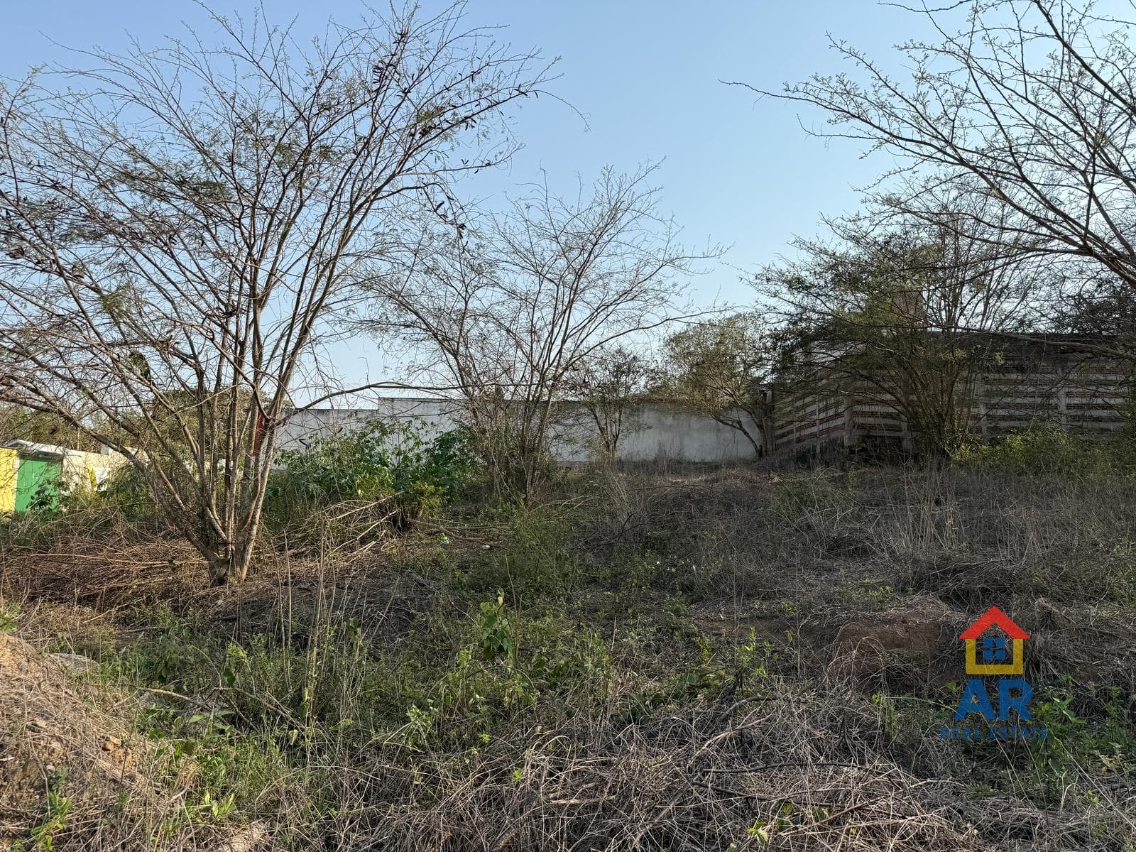 Lot in the Xaltic Housing Development