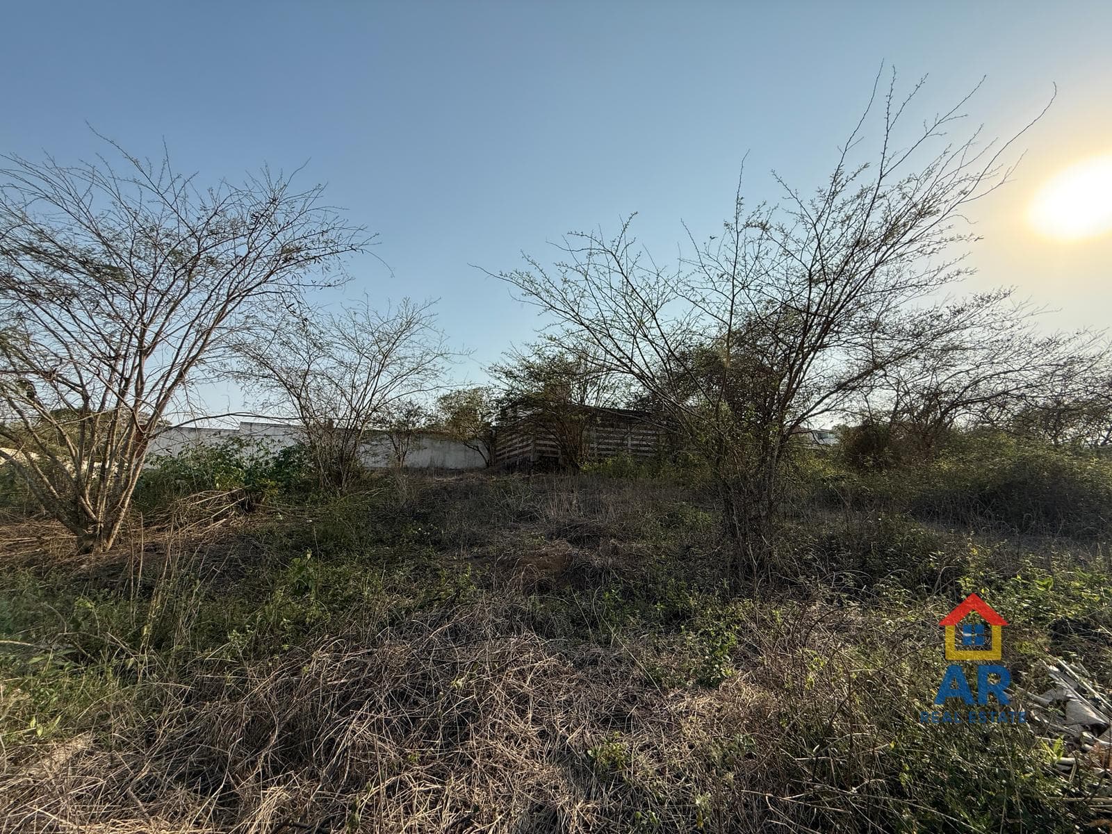 Lot in the Xaltic Housing Development