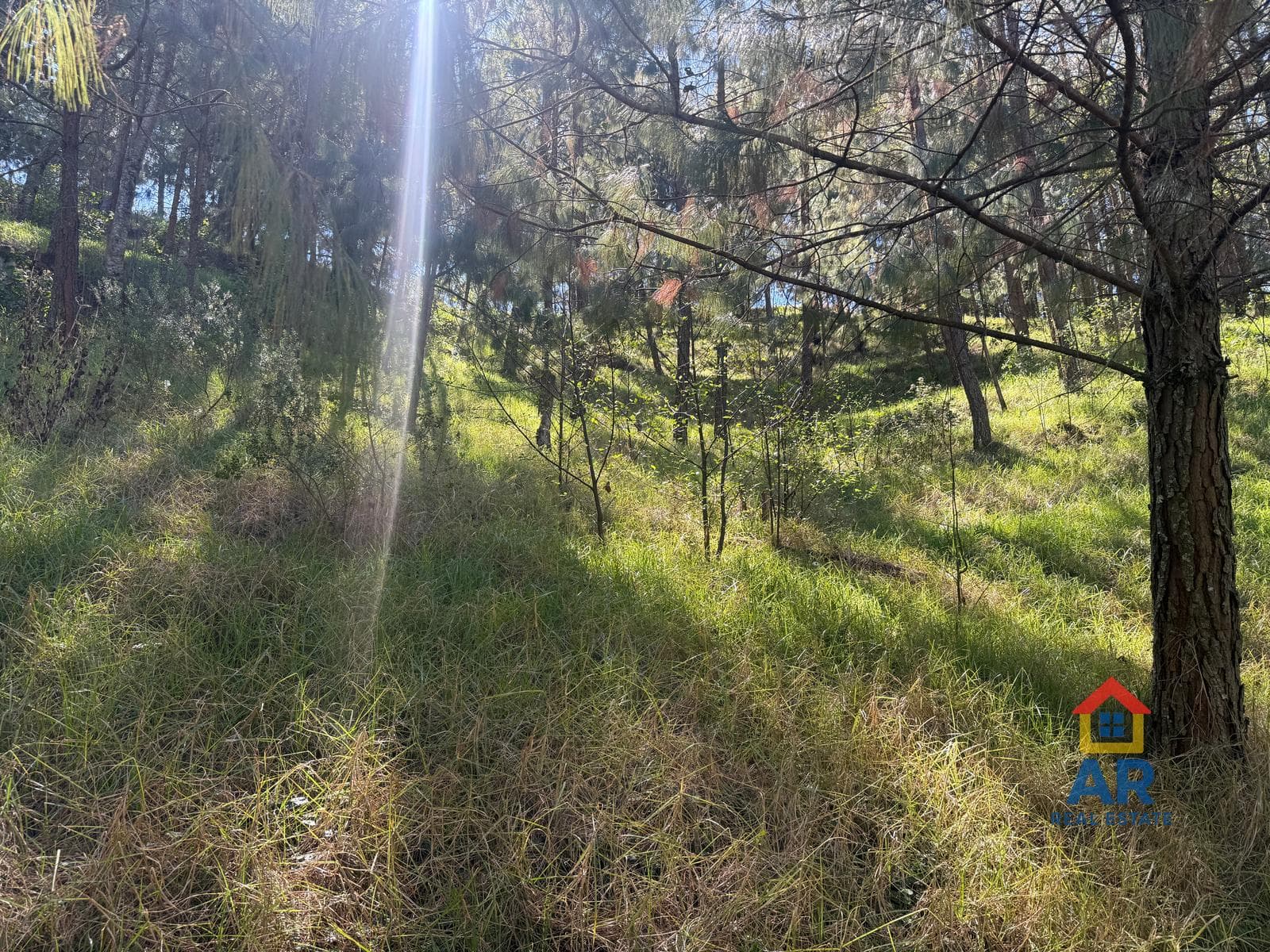 Land in Congregación Loma de Tablas