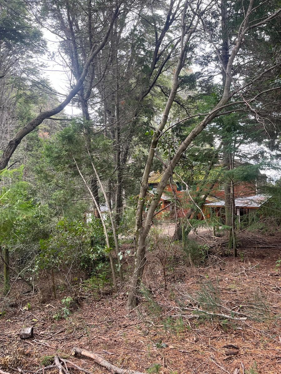 San Pedro Peninsula, just a few meters from Lake Nahuel Huapi - Bariloche