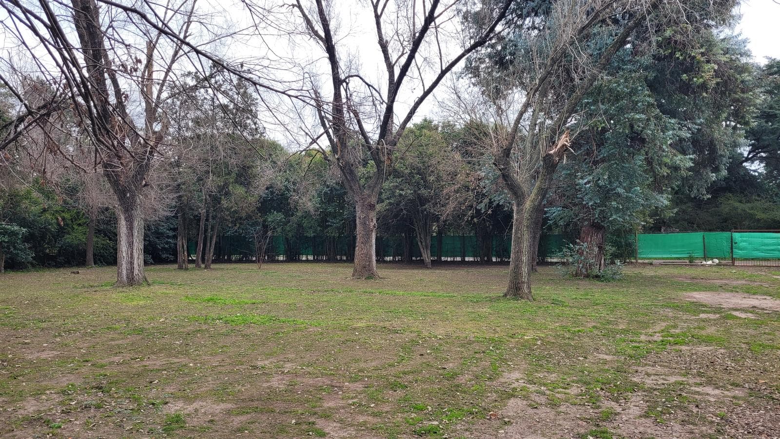 Land in Benavidez