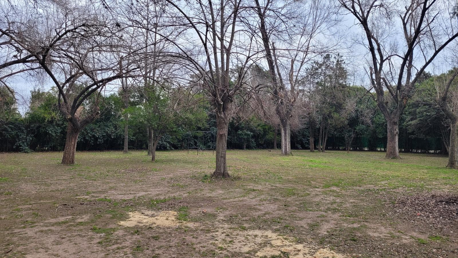 Land in Benavidez