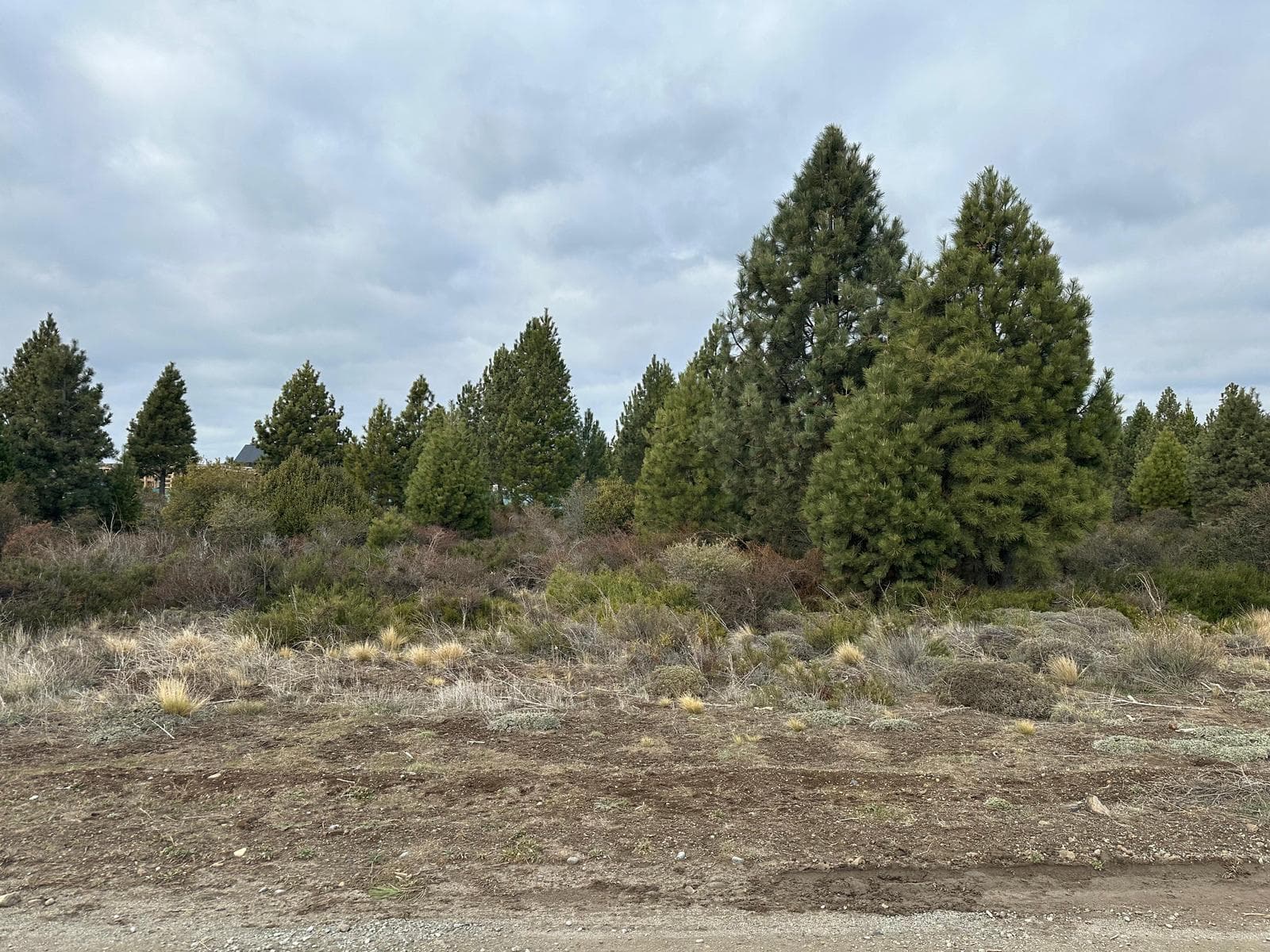Land in Solares Del Este