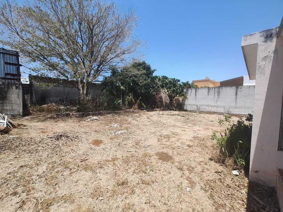 House for Rent as Office Space on Garcia Ginerés Street in Mérida, Yucatán