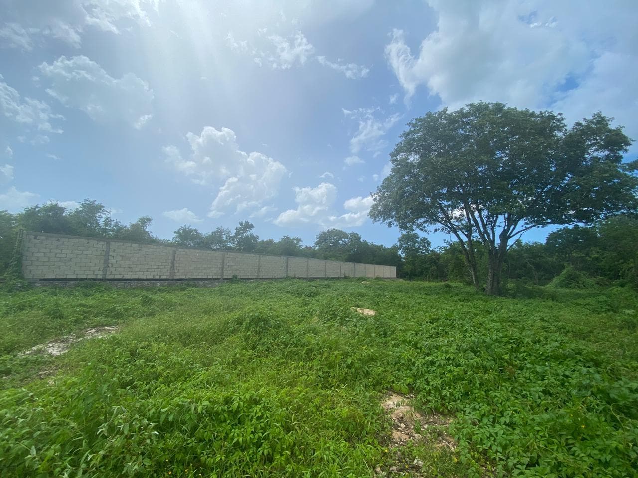 Lots for Sale in KOMCHEN Near the Progreso-Mérida Highway