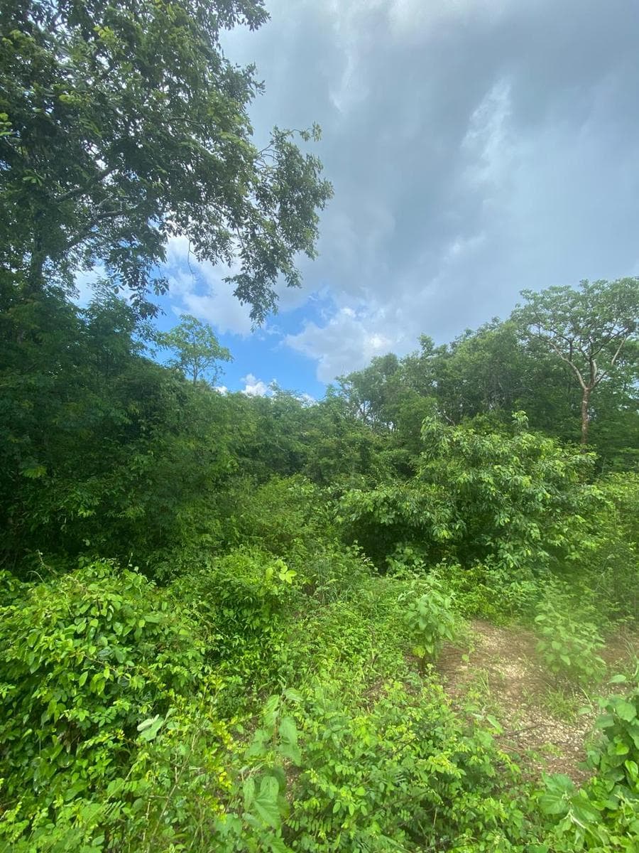 Lots for Sale in KOMCHEN Near the Progreso-Mérida Highway