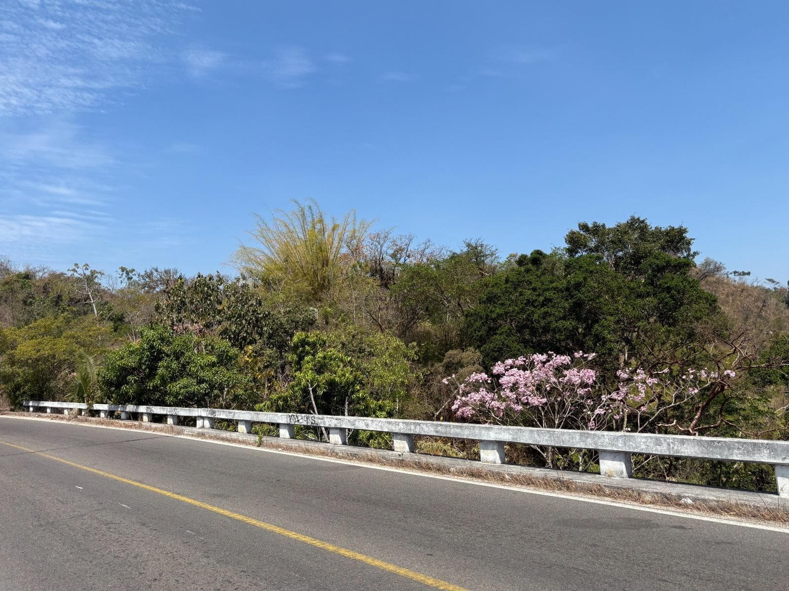 Rural Land for Sale in El Tuito, Cabo Corrientes, with Great Potential in Jalisco—100 Hectares