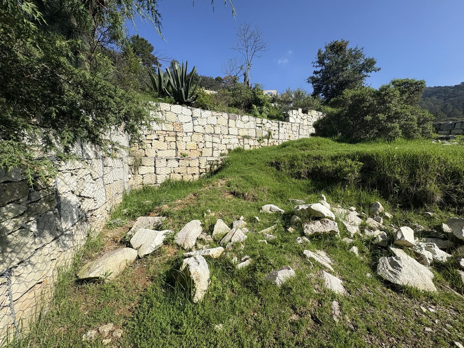 Lot in the Bosques de San Cayetano Subdivision