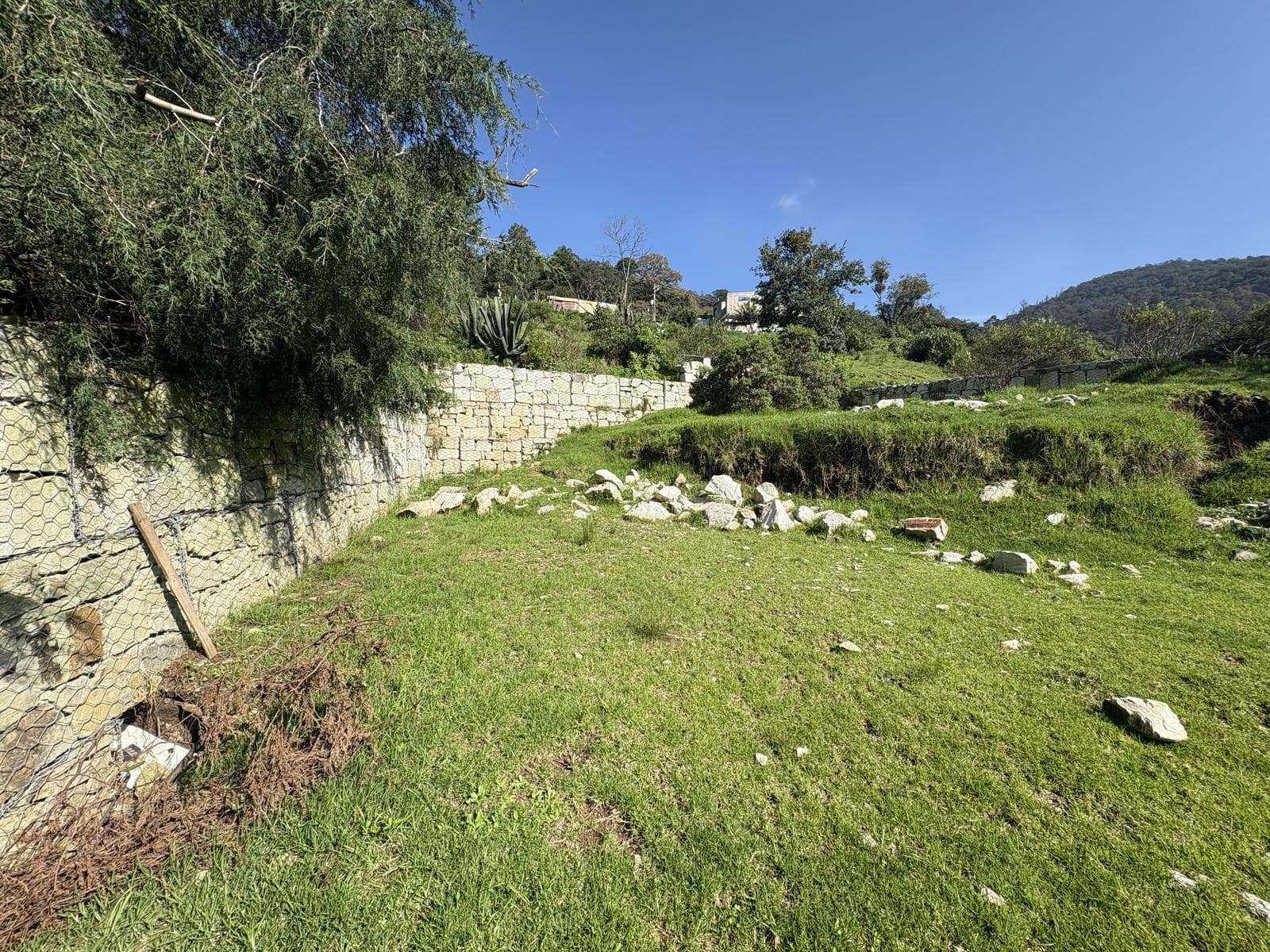 Lot in the Bosques de San Cayetano Subdivision