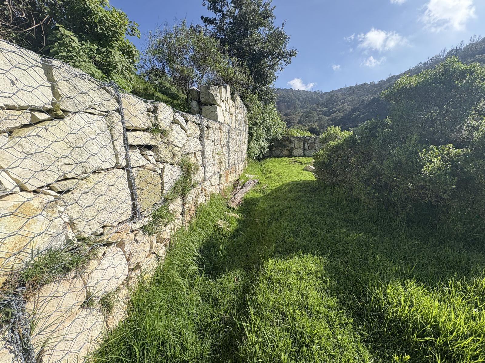Lot in the Bosques de San Cayetano Subdivision