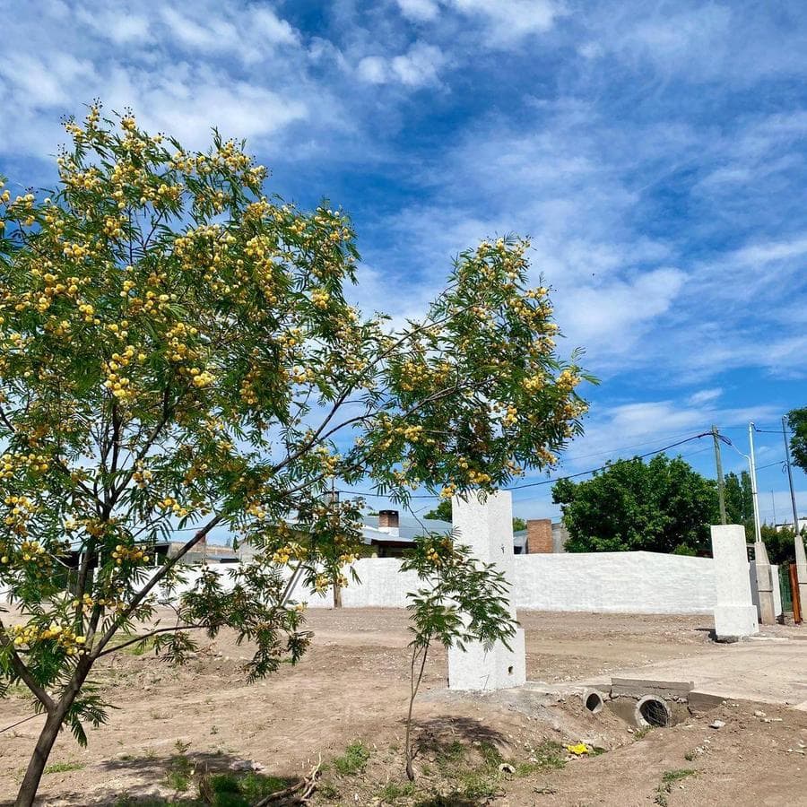 Land in San Rafael, Mendoza