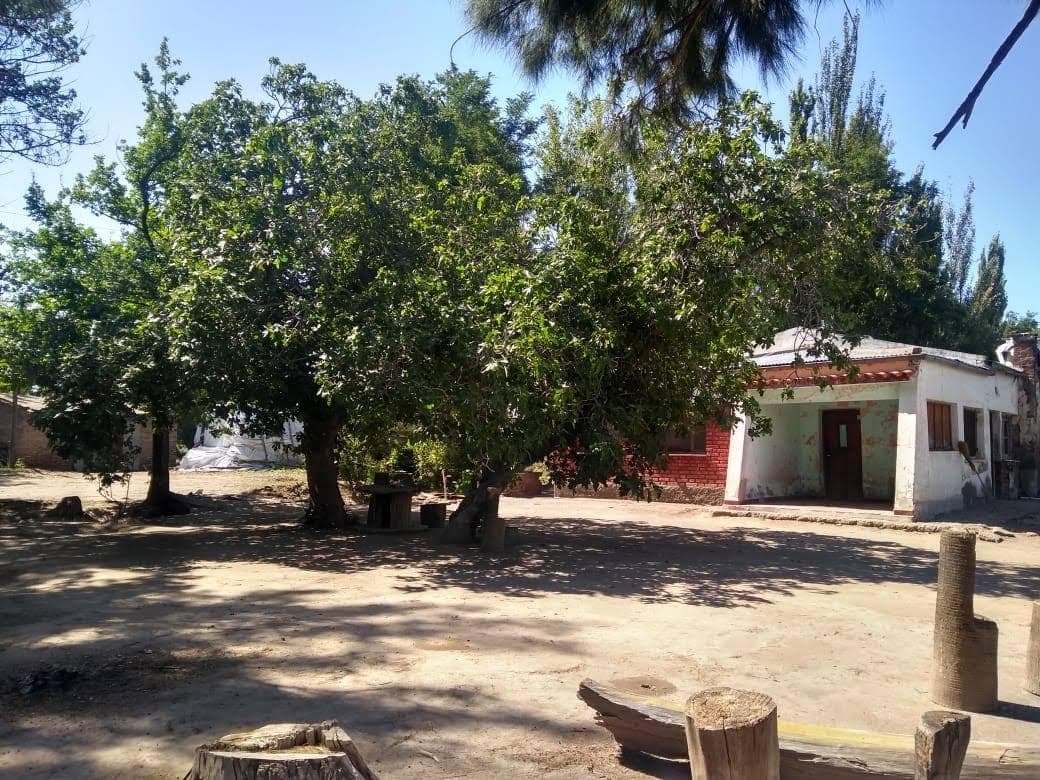 Farm with a house and a shed for sale in Colonia Rusa/Carmensa, General Alvear, Mendoza