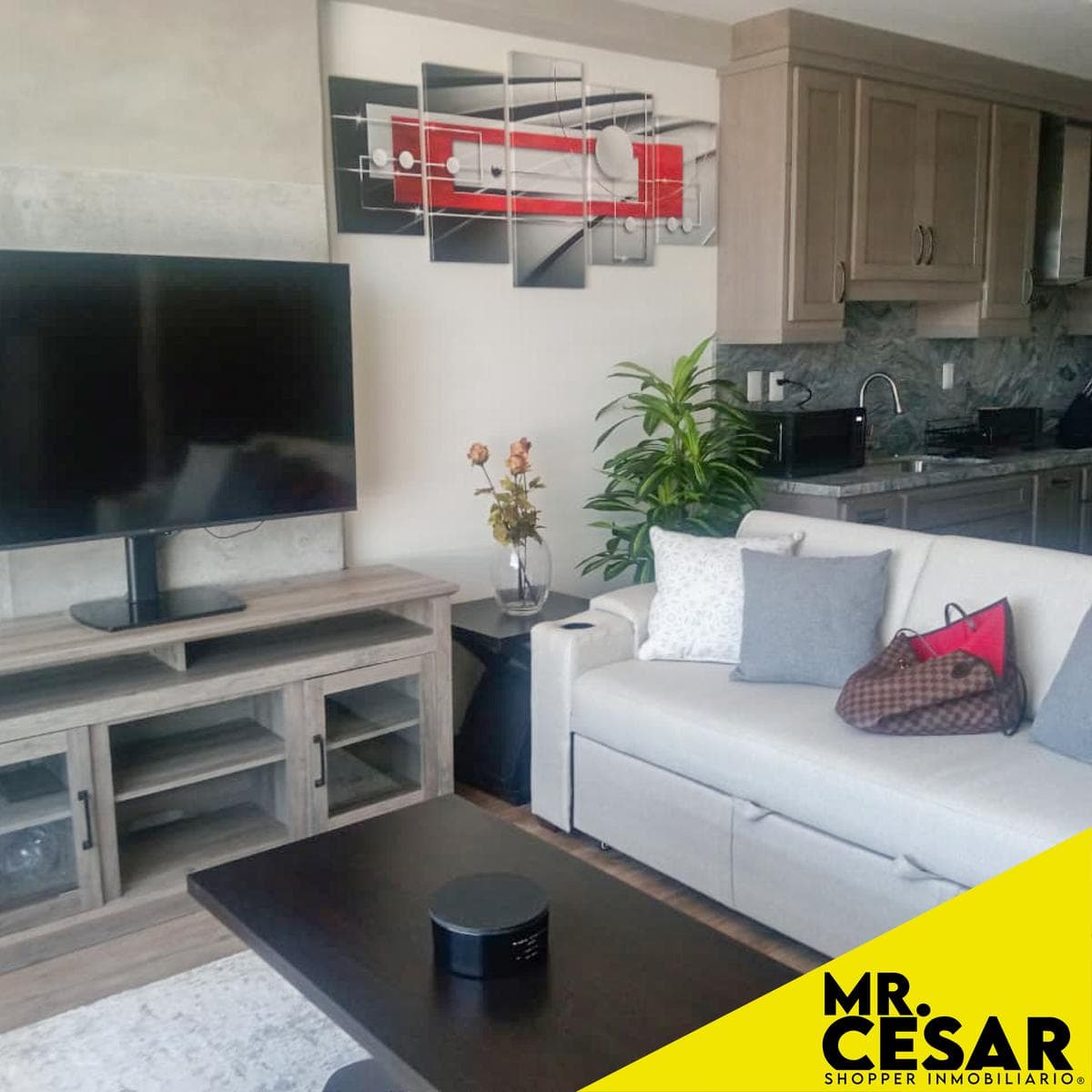 Furnished Apartment for Rent in Torre Kyo Hexus