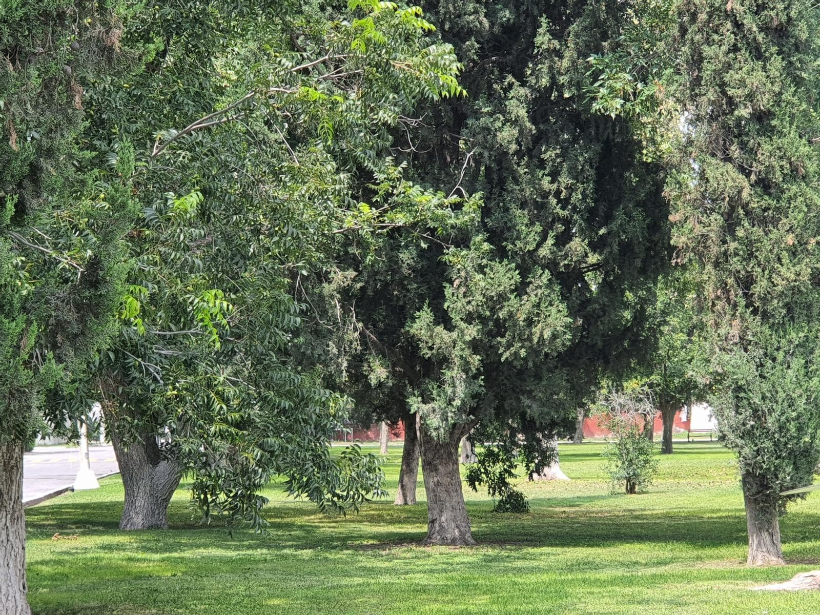 Land for Sale in Saltillo, Coahuila, Nogalar del Campestre