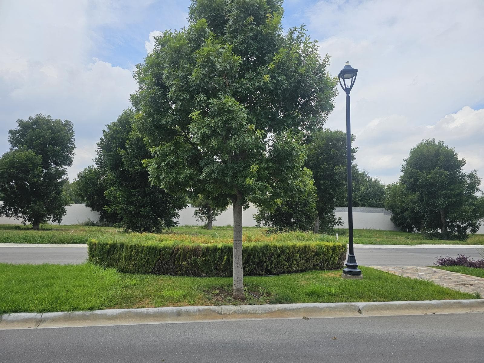 Land for Sale in Saltillo, Coahuila, Nogalar del Campestre