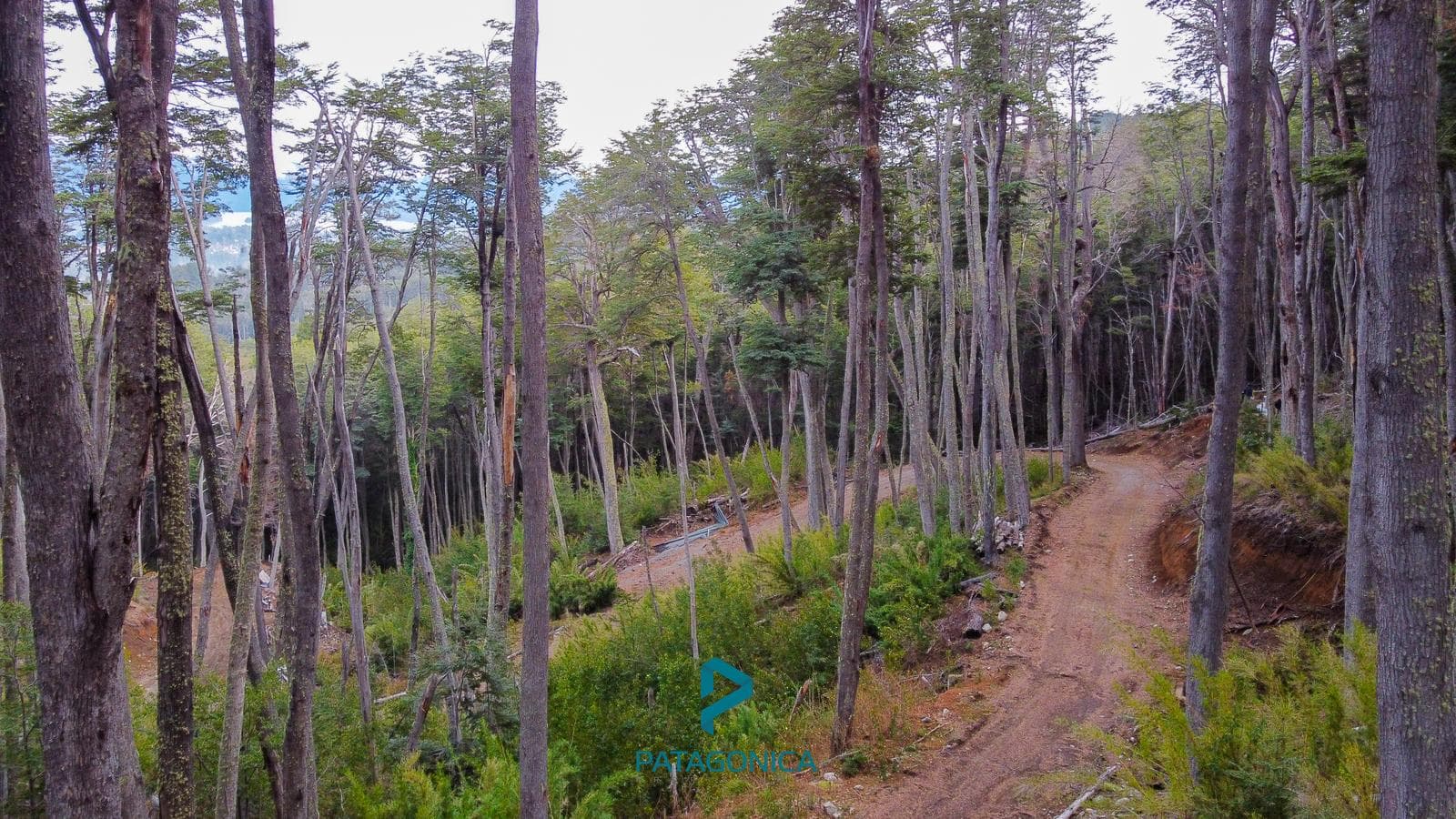 FOR SALE: Lot in UF 11A, Zone 2 UF, 2,779 m² with a lake view in the exclusive COTA MIL neighborhood