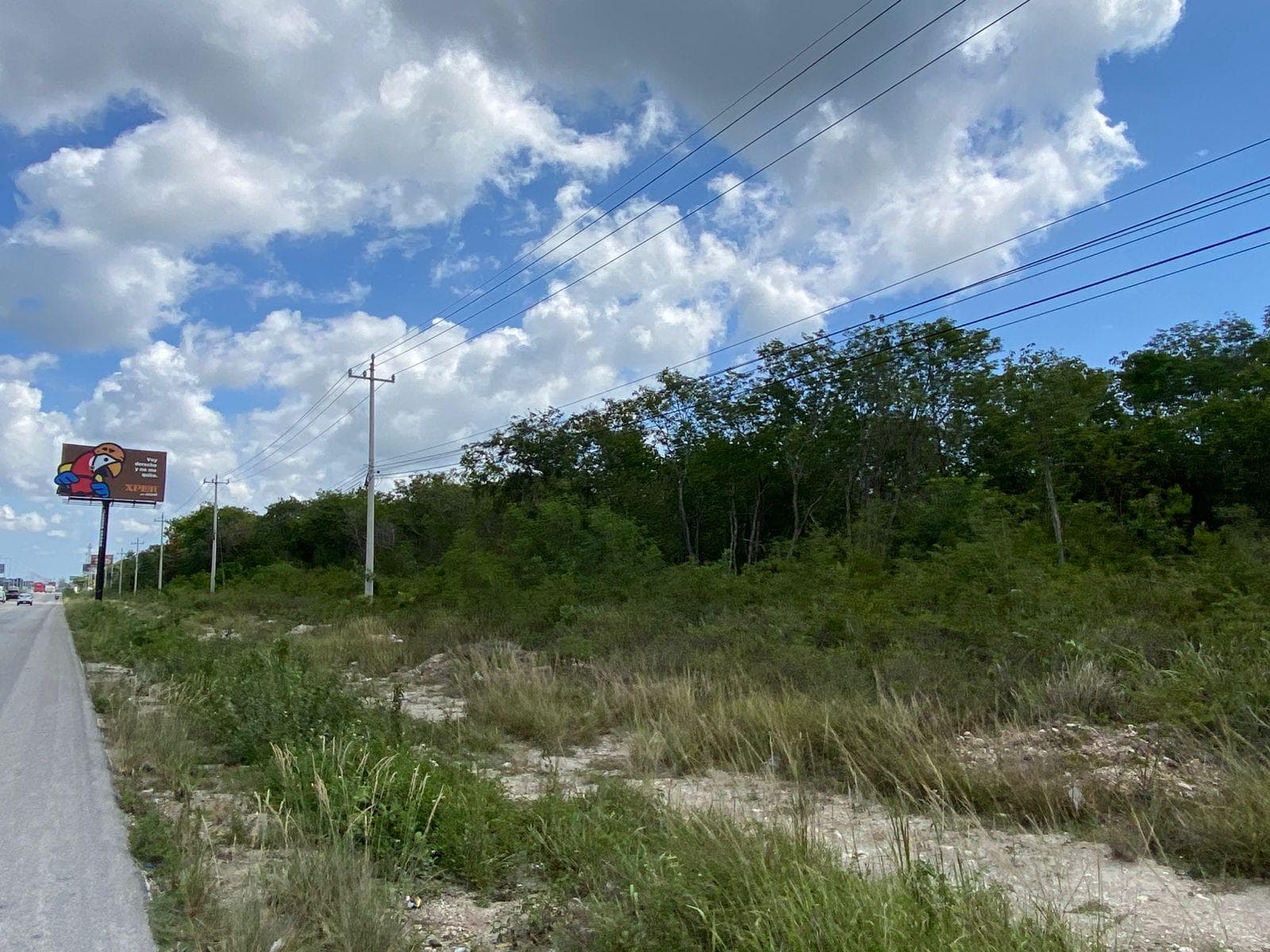 LAND FOR SALE IN CANCUN ON PETEMPICH HIGHWAY