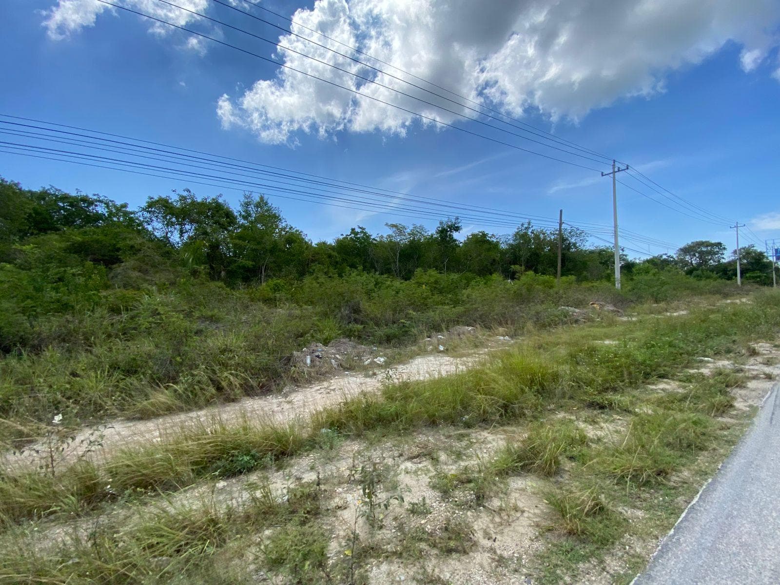 LAND FOR SALE IN CANCUN ON PETEMPICH HIGHWAY