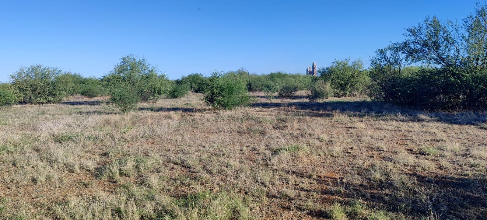 Land for Sale on the Road to La Colorada