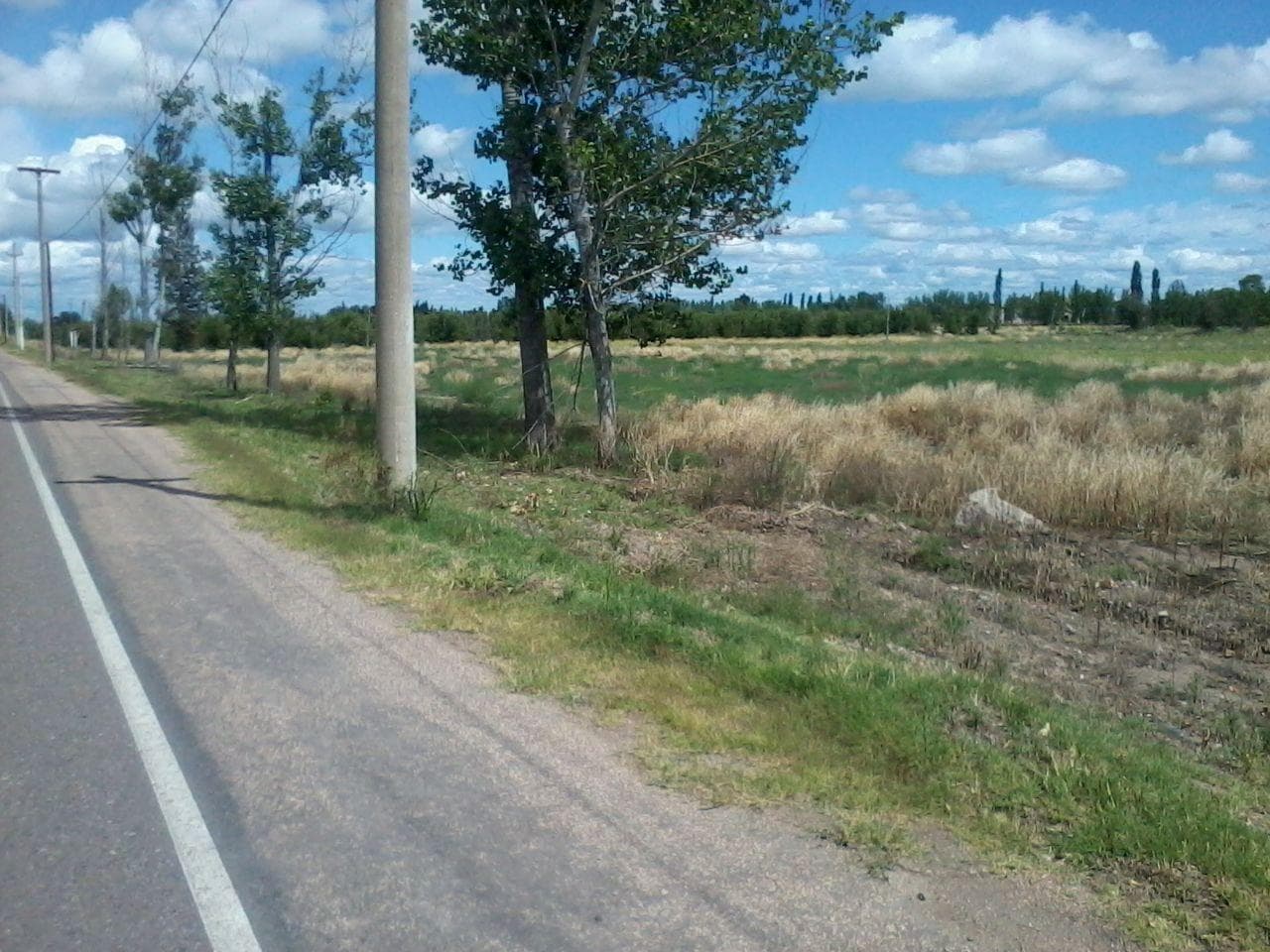 Lot on Centenario Street