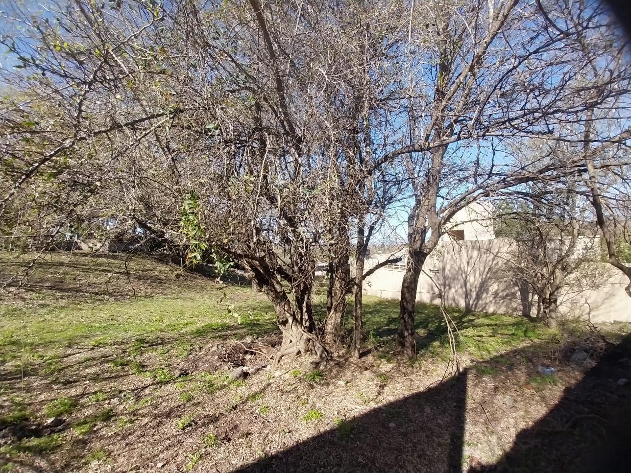 Land for Sale in El Talar, Prime Location