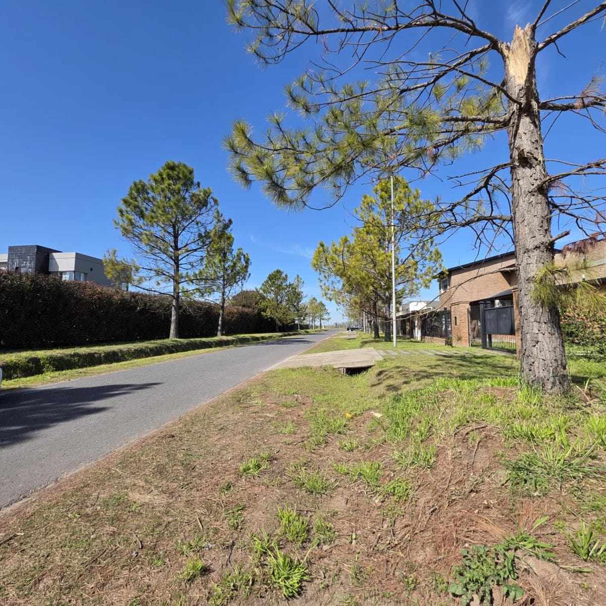 Don Mateo Land, Phase 1