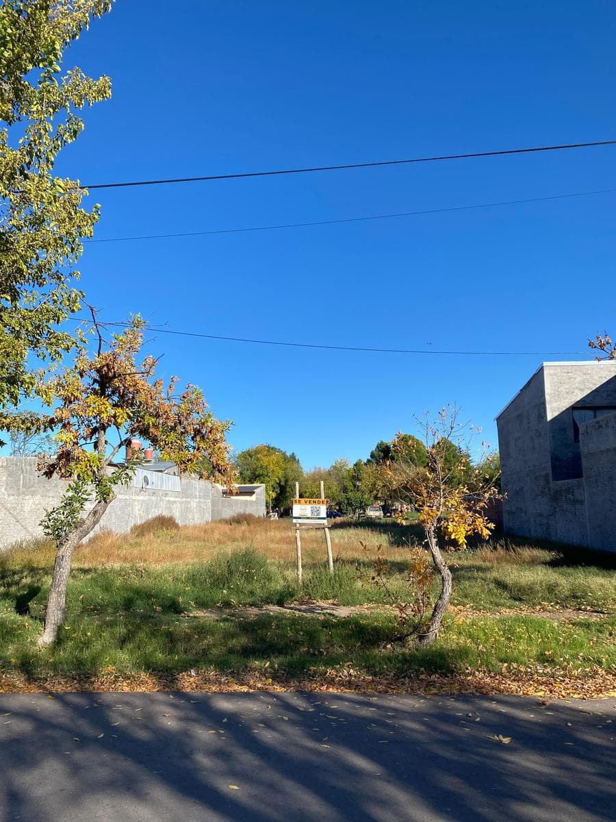 Downtown lot